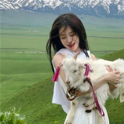 寻爱圣诞节